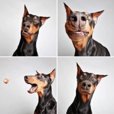 lady.jpg